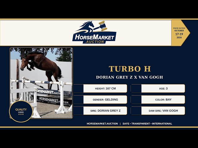 Turbo H