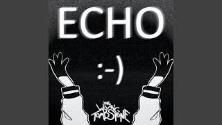 Cover art for Echo