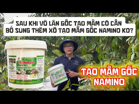 Quy trình xử lý ra hoa - vô lân gốc tạo mầm