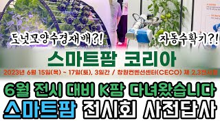 미래 농업 기술 체험!_6월에 참가하는 '스마트팜코리아' 전시회 예습하러 다녀온 'K팜' #돌쇠스마트팜 #스…