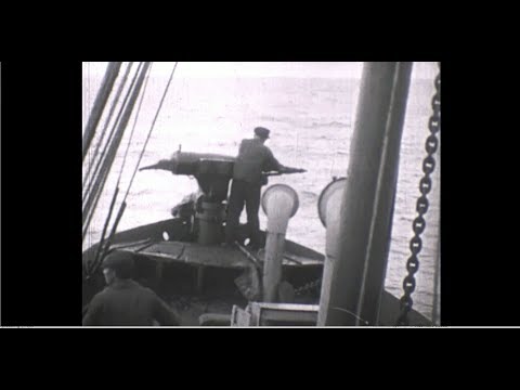 Whale Fishing