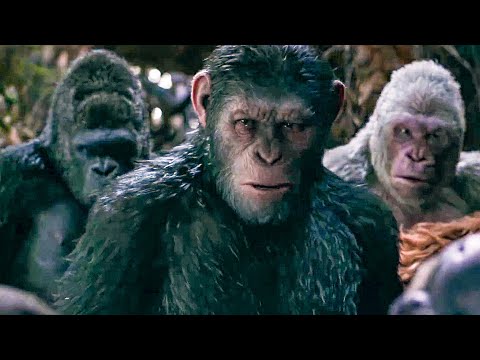 image-What happened to Caesar's owner in Dawn of the Planet of the Apes?