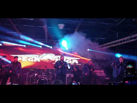 El Pega Pega - El Ronquidito