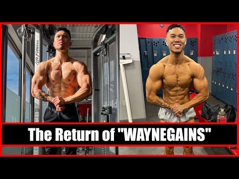 NATTY NEWS DAILY #129 | The Return of "WAYNEGAINS"