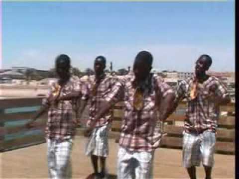 Swart baster - Berou.avi