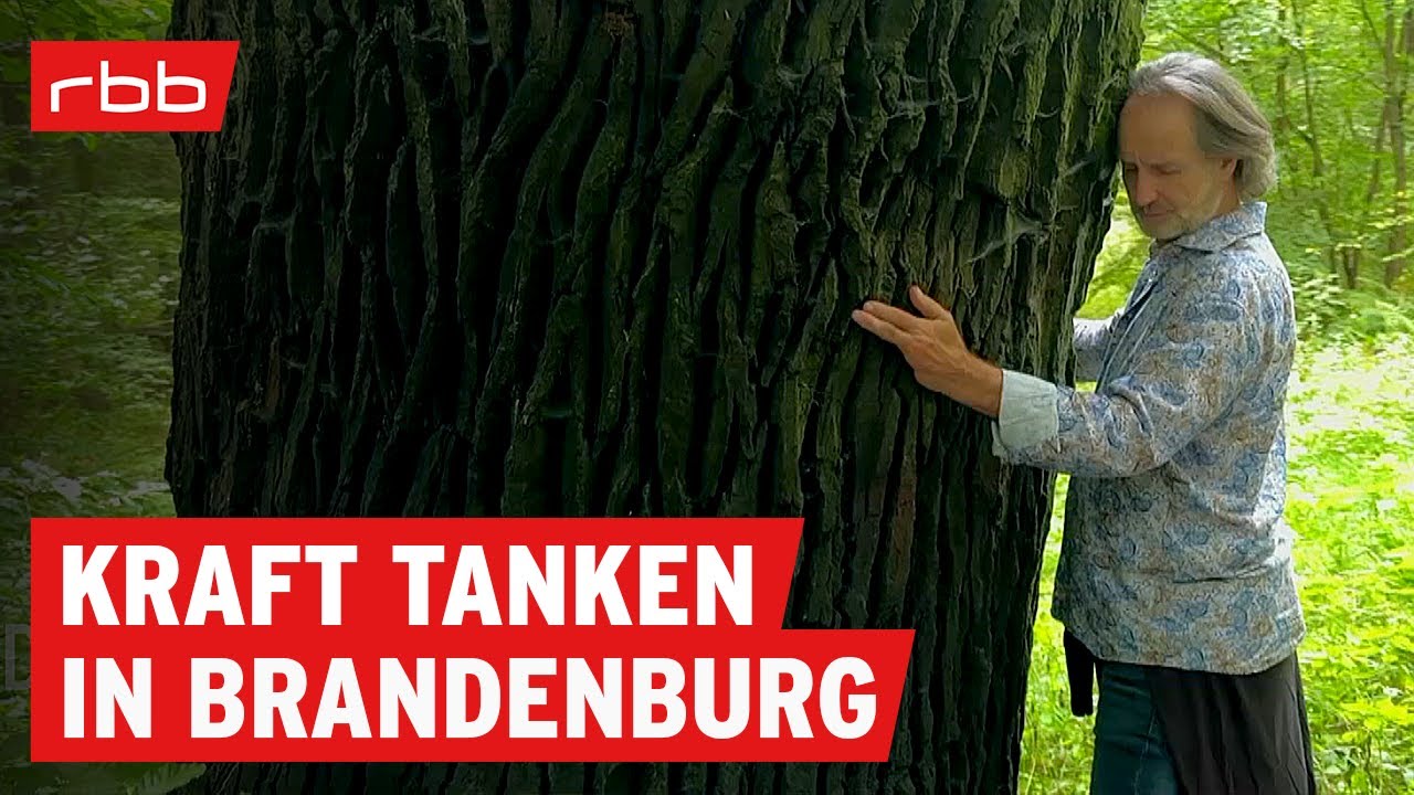Atem-Seminar, Buddhistisches Kloster, Gartenarbeit | Kraft tanken in Brandenburg | Reportage