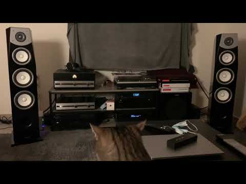 Audio Hungary Qualiton APX-200 & APR-204 / Yamaha NS-F901 / Tellurium Q