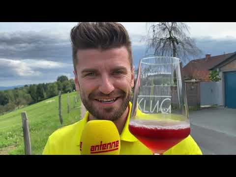 Sightseeing Seidl - St Stefan ob Stainz