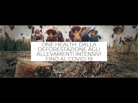 , title : 'ONE HEALTH, dalla deforestazione agli allevamenti intensivi fino al Covid-19 - Prof. Silvio Greco'