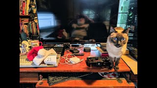 Advent Calendar - December 23rd 2019 - Sinclair Society - Spectrum Fun Every Day Up To Christmas