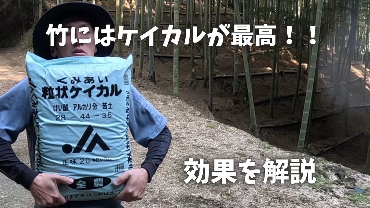 肥料の他にも与えて欲しいケイカル