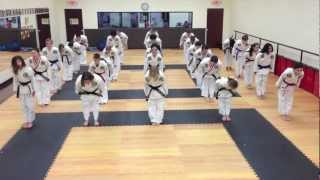 preview picture of video 'Spicar Taekwondo Karate Style Harlem Shake in Southlake TX'