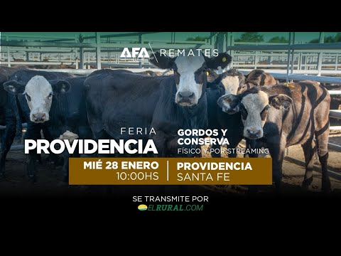 Remate AFA Gordos y Conserva desde Providencia Santa Fe