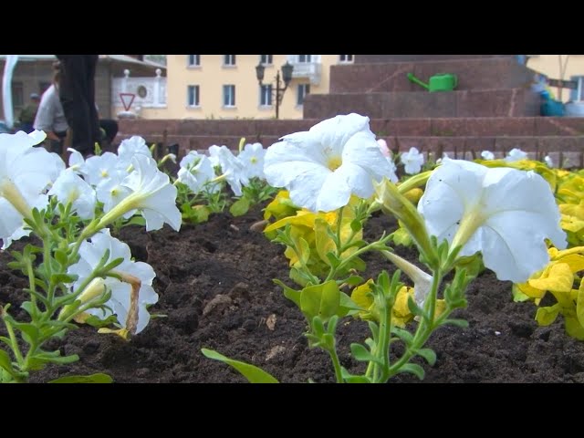 Ангарск в рейтинге самых благоустроенных городов региона