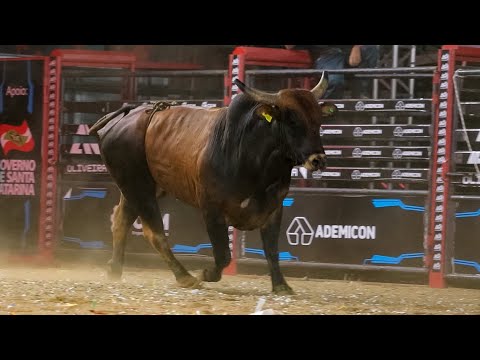 FINAL BULL RIDING COMPETITION | TRÊS BARRAS-SC Rodeo 2026