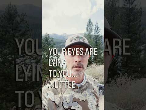 Your Eyes Are Lying to You… A Little | Pattern DNA #Shorts