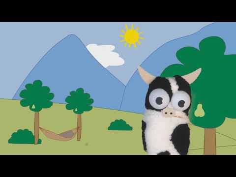 Dek bovinoj sed polaj