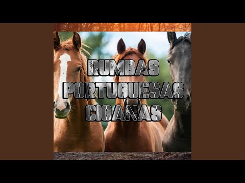 [Dj machado] y saray Popurri cigano Rumbas