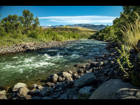 REV Real Estate YouTube video thumbnail 5