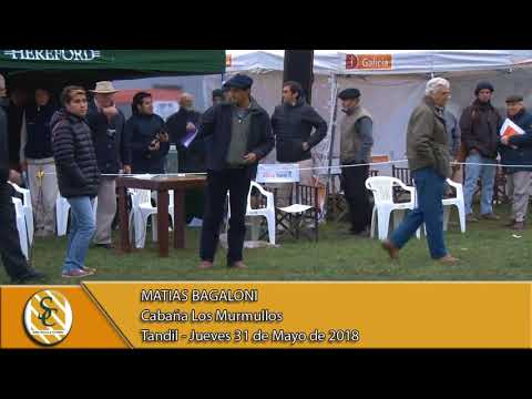 31-05-18 Nota Matias Bagaloni - Cabaña Los Murmullos - Expo. Hereford - Tandil
