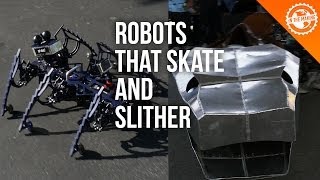 Robots That Skate and Slither: Titanoboa & Glida