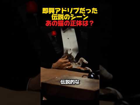 即興アドリブだったの伝説シーン、あの猫の正体は？　#伝説シーン　#動物話