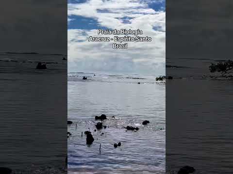 Praia da Biologia - Aracruz - Espírito Santo #brasil #viral #aracruz #espiritosanto