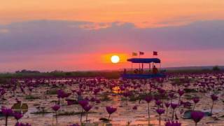 ร้องไห้ใกล้หนองหาน – ต่าย อรทัย