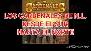 Los Cardenales De Nuevo Leon Detengase Senora