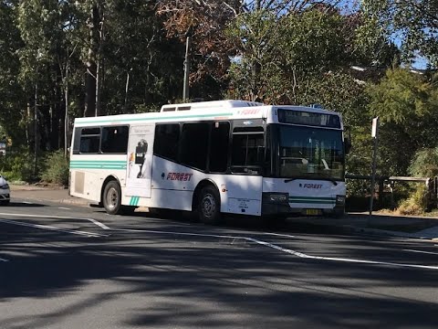 Adam's Trains Vlogs: Forest Coachlines Terry Hills m/o 8639: CAT C7 Bustech MDI