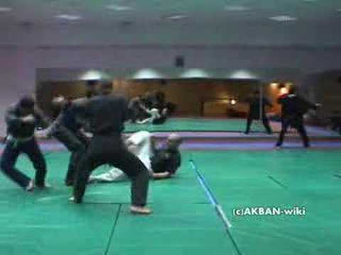 Hicho no kata - koto ryu