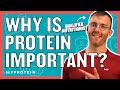 How Important Is Protein For Weight Loss? | Nutritionist Explains... | Myprotein