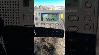 7. Señales de Onda Corta de origen desconocido