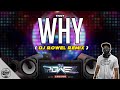 WHY - Tiggy (Dj Rowel Remix) - 90's Disco Hits | Philippines Party Mix
