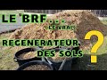 dossier complet BRF / le BRF est il un regenerateur des sols ?