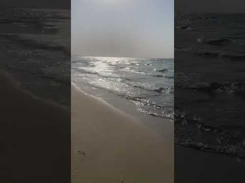 #reels #loveagain #ocean #sea