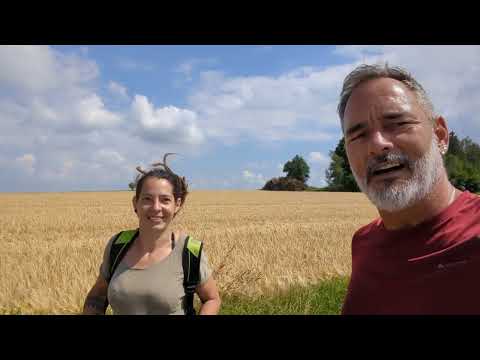 Tag 392, von Besuch, Bier, Mann und Gebrüll und reichlich Sonne