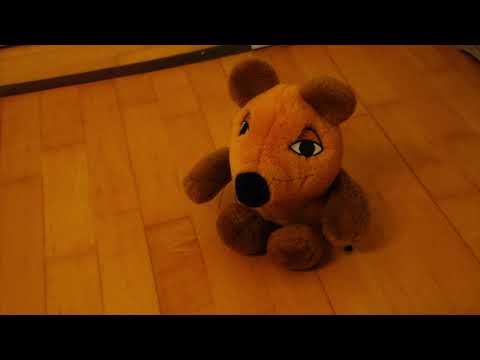 Licht und Schatten - Einstieg