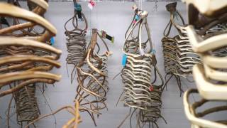 Furniture Naturally Grown From A Tree: Tree Shaping
