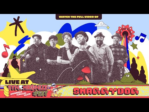 Shaggy Dog Live at Synchronize Fest 2023