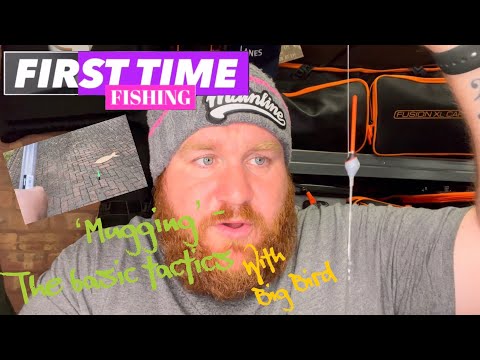 Mugging Carp and F1’s | Talking Tactics with Big Bird