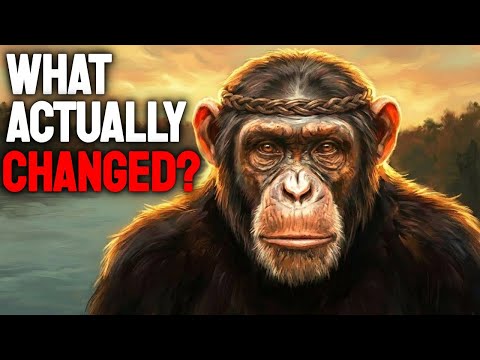 Why Did Human Evolution Suddenly ACCELERATE 100,000 Years Ago? | History For Sleep
