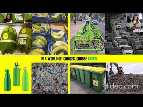 progetto sostenibilita' classi seconde LICEO ELIO VITTORINI Sintesi