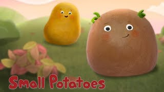 Small Potatoes - Seasons