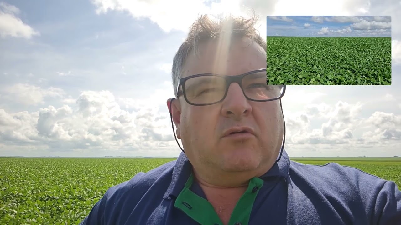 Como potencializar a lavoura e buscar os 100 sc/ha