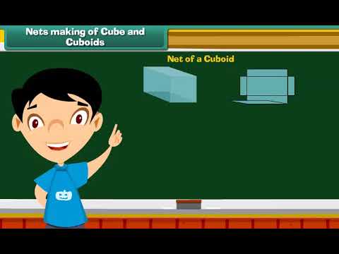 Nets of Cube and Cuboids | Class 4 | Maths