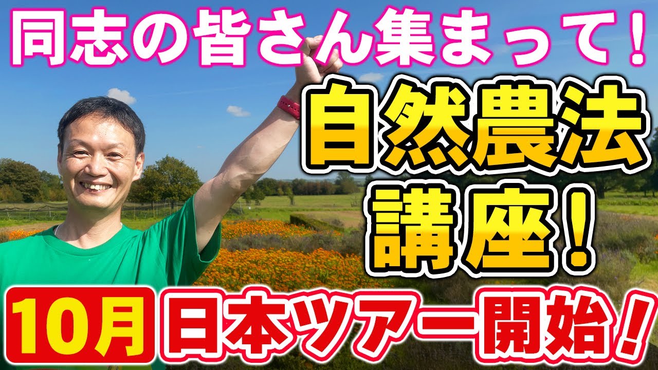 トマト自家採種の基本と手順