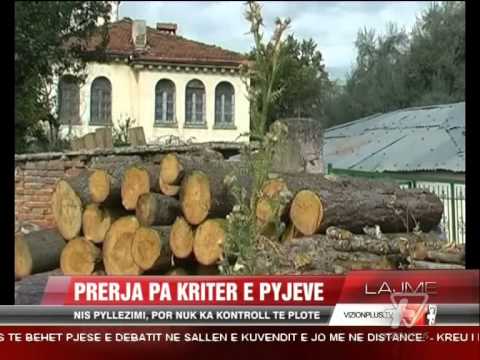 News Edition in Albanian Language - 16 Nentor 2014 - 15:00 - News, Lajme - Vizion Plus