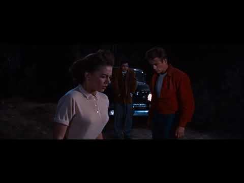 Dennis Hopper on Nicholas Ray