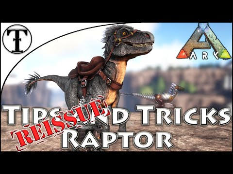 Fast Raptor Taming Guide Reissue :: Ark : Survival Evolved Tips and Tricks